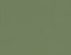 290 145 olive