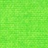 0262 609 gecko Canoso