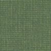 0262 606 grasshopper Canoso