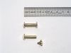 20 mm lg Messing-Buchschrauben