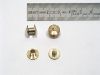 6 mm lg vermessingt Buchschrau